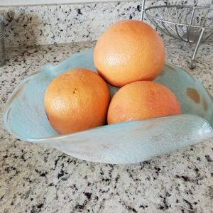 Light blue aqua Teal 💙 decorative bowl fruit bowl candy dish Catch All Bowl